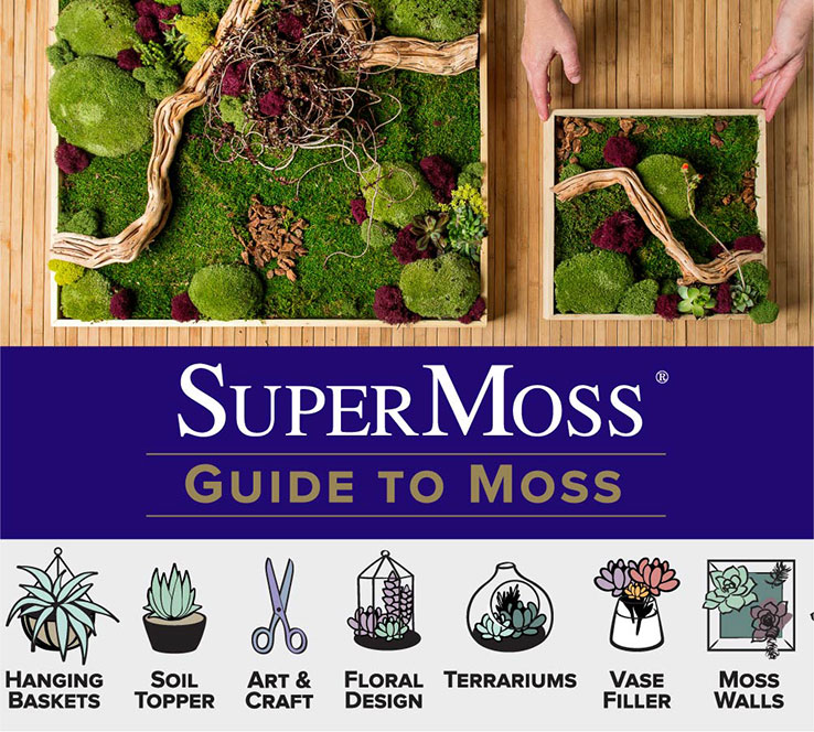 SuperMoss® Preserved Green Moss