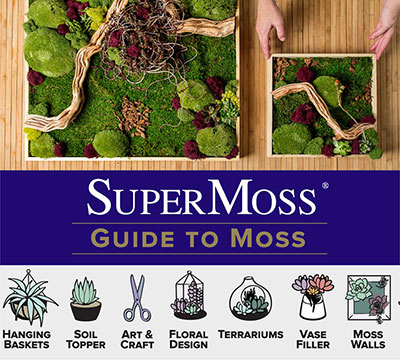 Super Moss Mood Moss Preserved Natural Green 1200cuin, Fresh Green, 200 in3  Bag (Appx. 8oz) (21539) (Pack of 2)