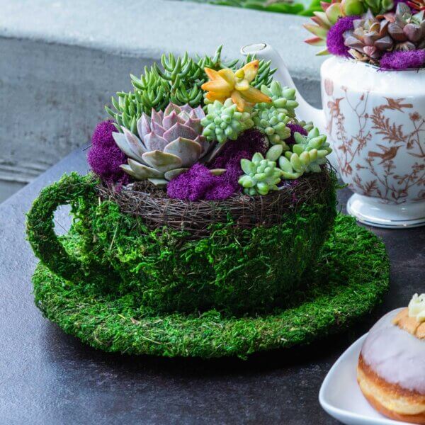 Coffee Cup Deco Moss Planter