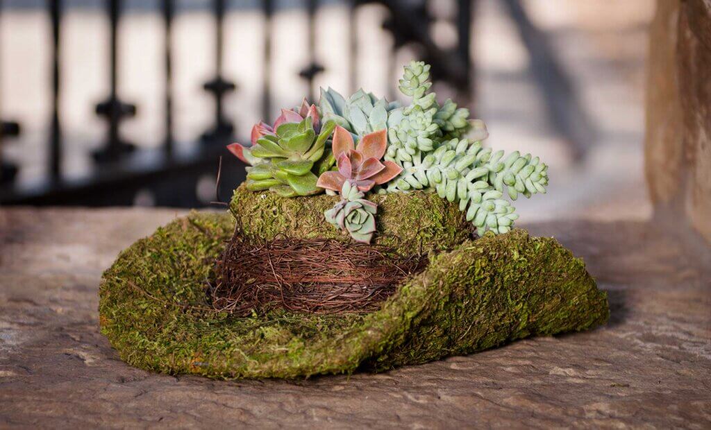 Cowboy Hat Deco Moss Planter #1