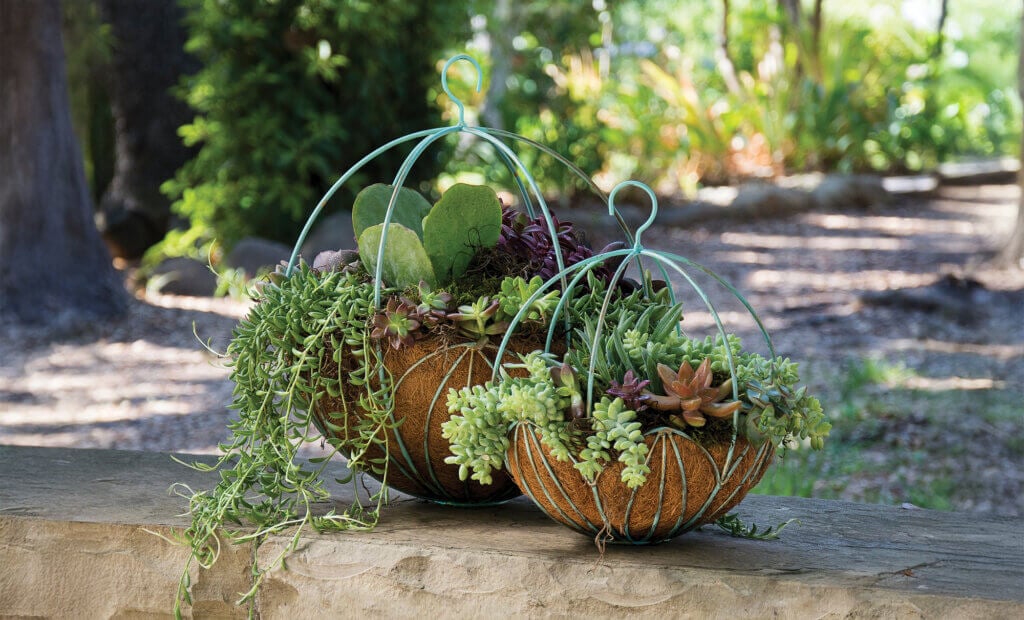 Leeds Sphere Metal Hanging Basket #1