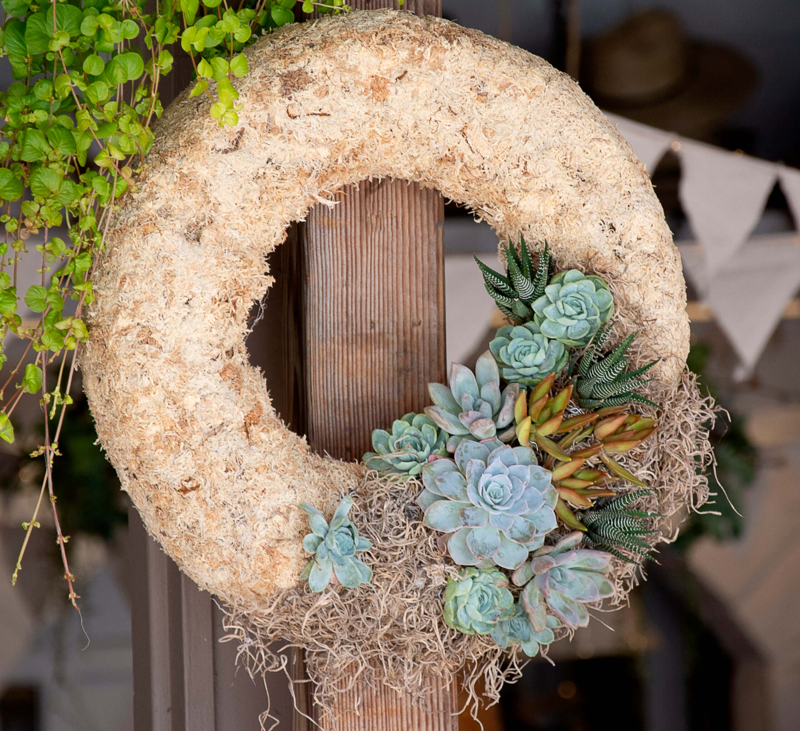 SuperMoss - Living Wreath, Round