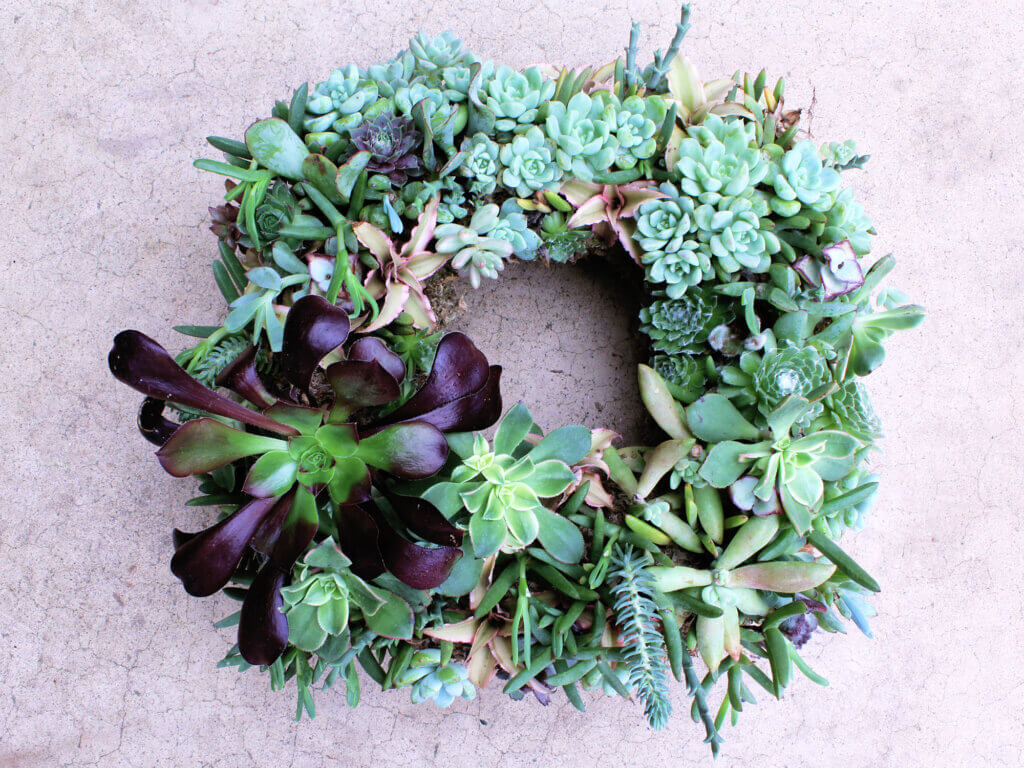 Living Wreath, Square #1