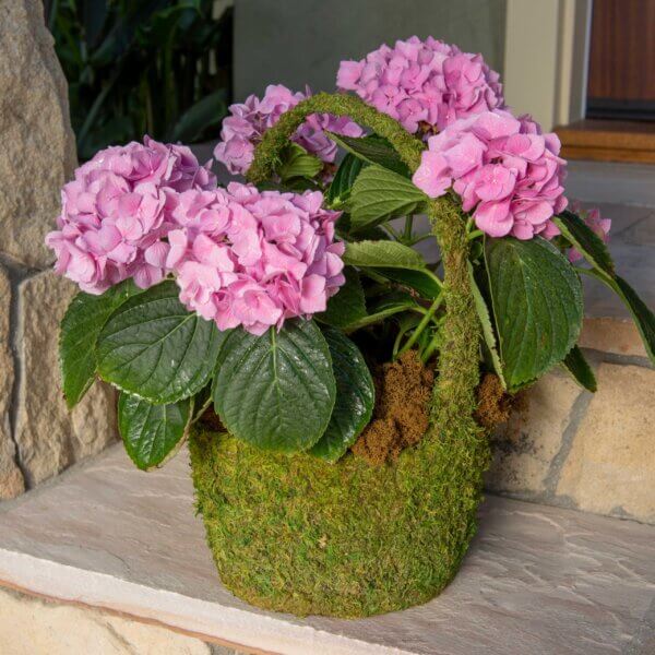 Vista Deco Moss Basket