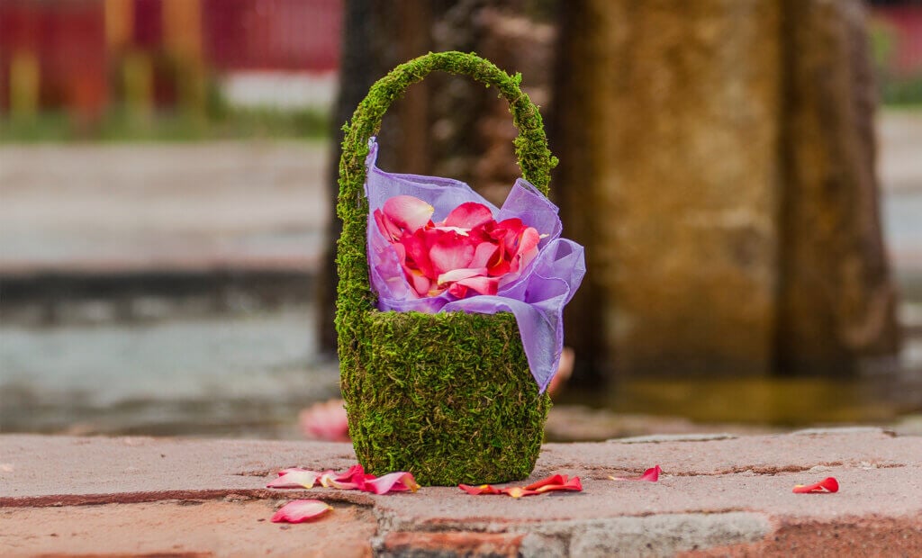 Vista Deco Moss Basket #1