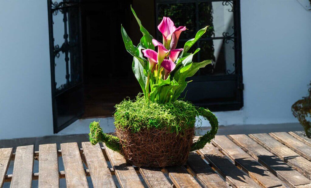 Watering Can Deco Moss Planter #1