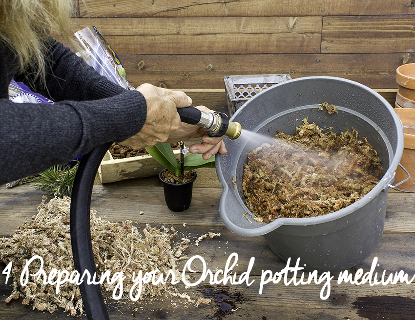 Super Moss Orchid Bark Potting Mix