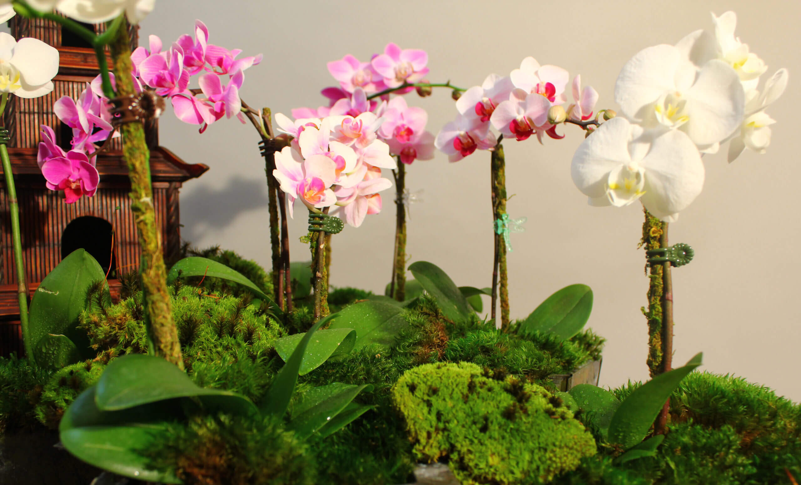 Moss Hooped Outland タグ付き Moss Hooped Outland タグ付き 【公式通販】