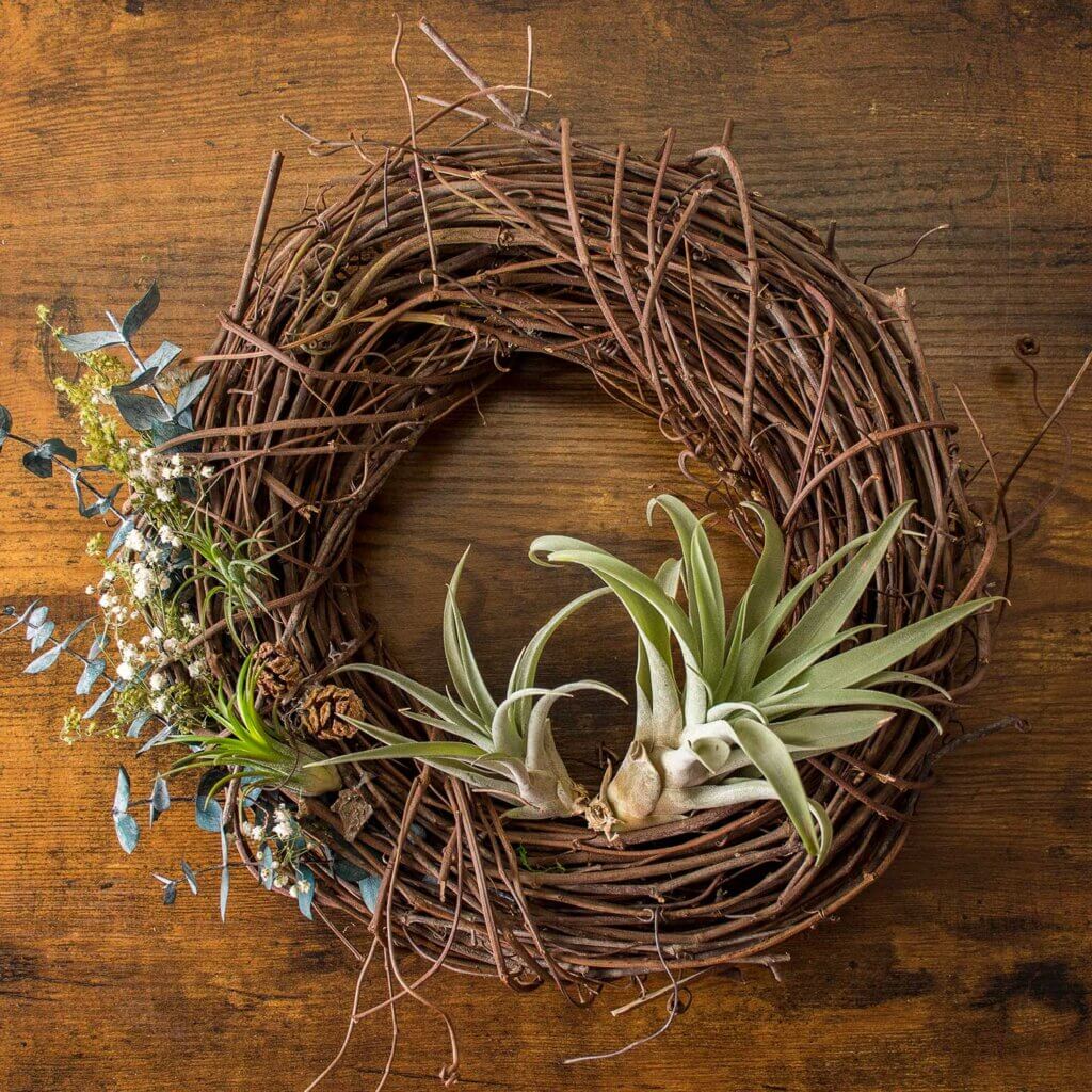 Orchard Grapevine Wreaths #7