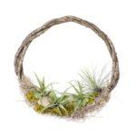 GrapevineWreath_with-Air-plants
