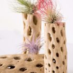 6-Pc-Airplant-Cholla-Wood-Set_23449_Closeup02