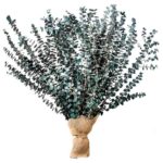 Eucalypthus_Large-Bouquet