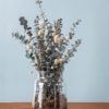 Fresh-Preserved Eucalyptus Bouquet