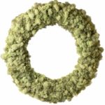 Lush-Reindeer-Moss-Wreath_18in_Sage_25190