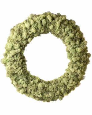 Lush Reindeer Moss Wreath Sage Green