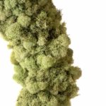 Lush-Reindeer-Moss-Wreath_18in_Sage_25190_03