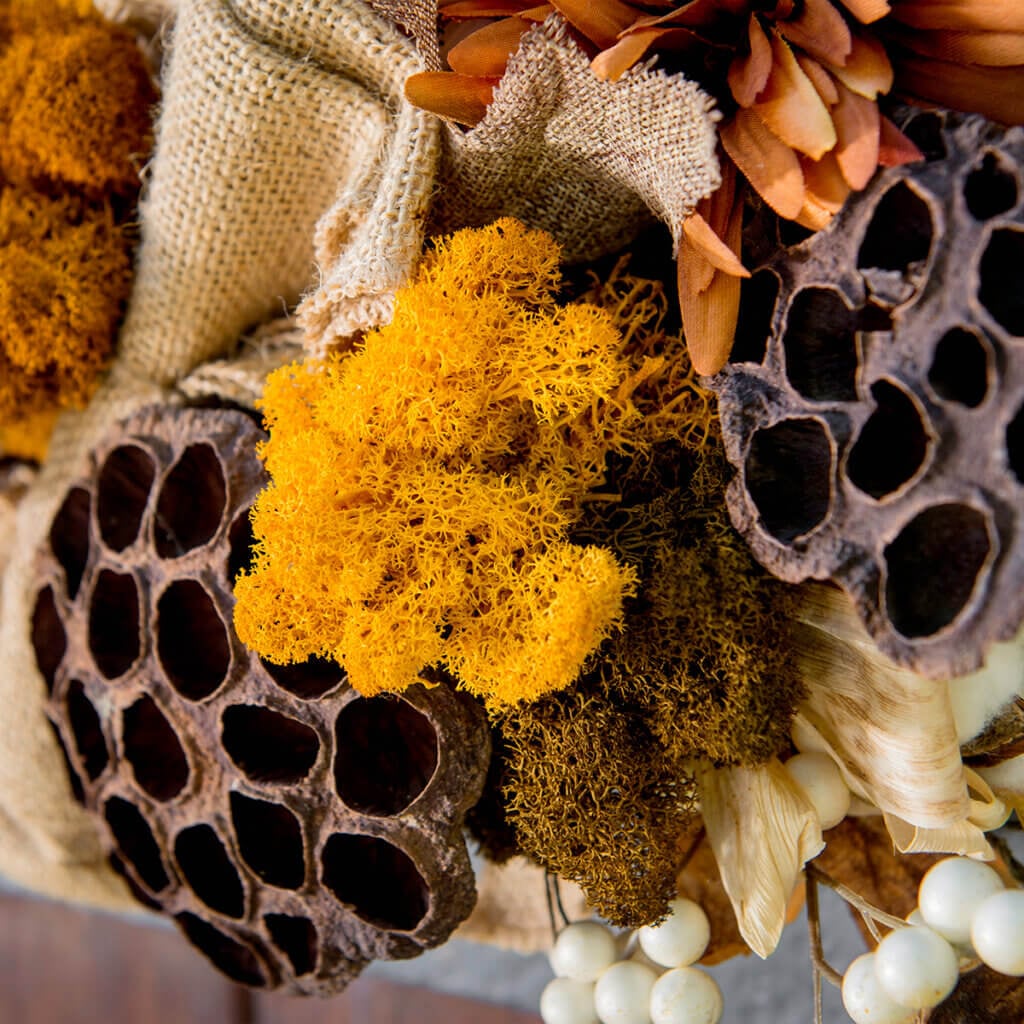 Orchard Grapevine Wreaths #5