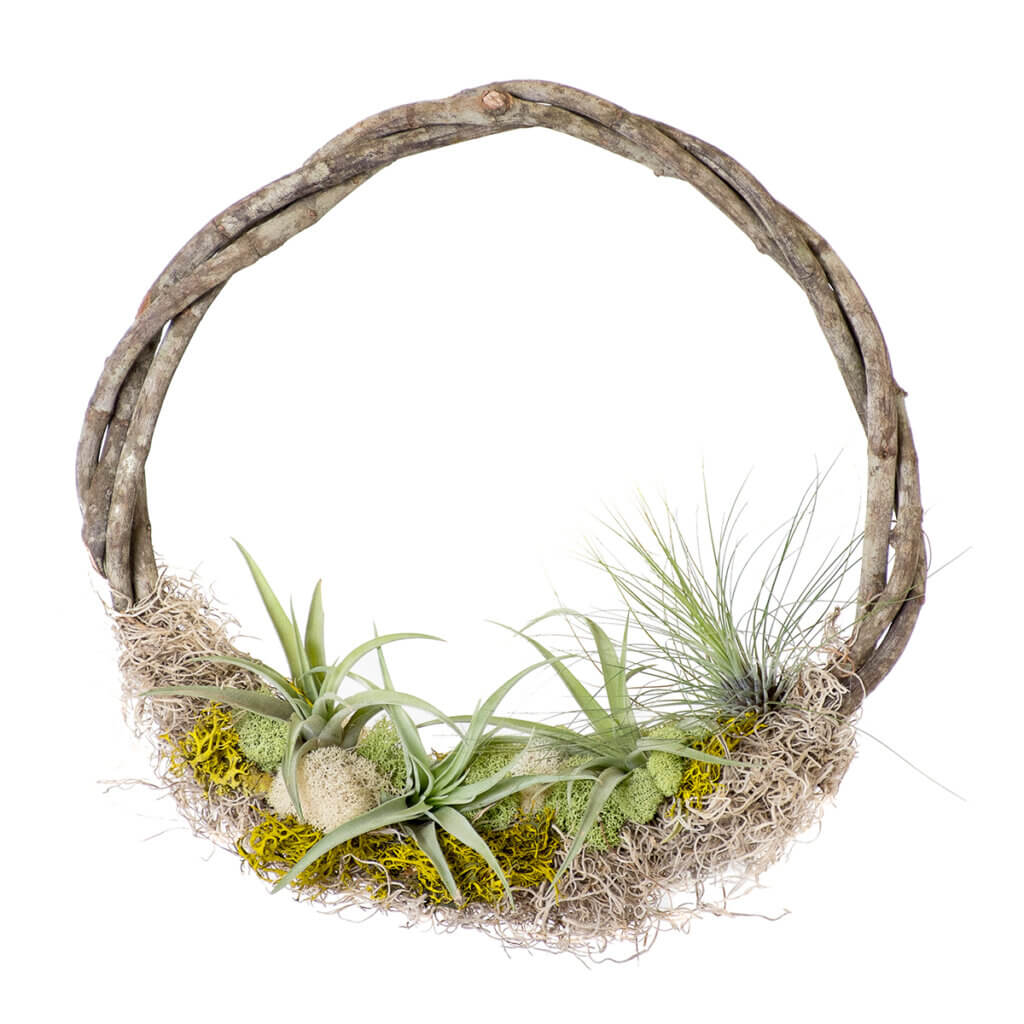 Savannah Grapevine Wreath, Thick Vine, 18” (2-pack) #1