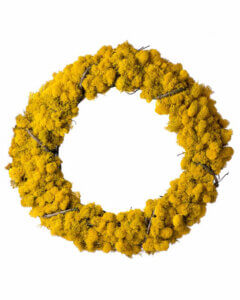 Reindeer Moss Grapevine Wreath, 18”, Sunflower