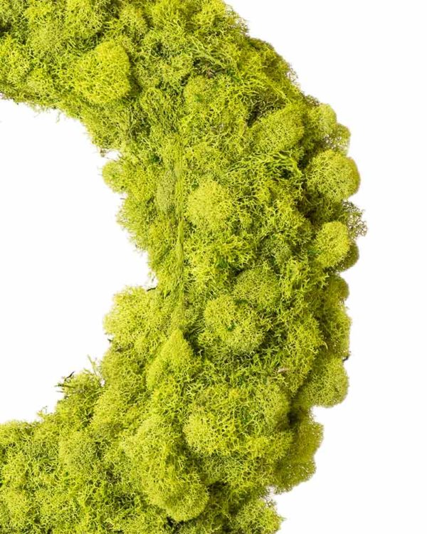 Lush Reindeer Moss Wreath, 12” Chartreuse