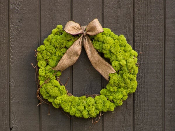 Lush Reindeer Moss Wreath, 18” Moss Green