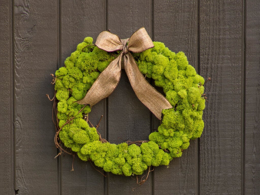Lush Reindeer Moss Wreath, 12” Chartreuse #1
