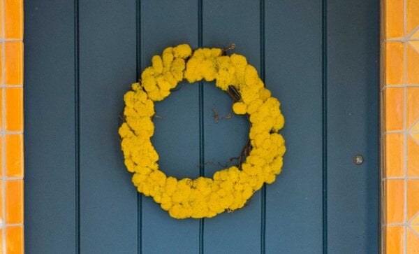 Reindeer Moss Grapevine Wreath, 18”, Sunflower
