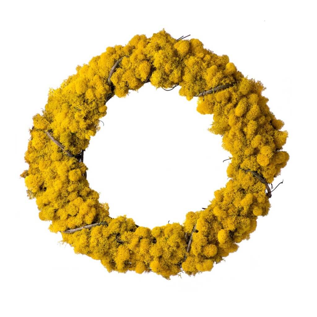 Reindeer Moss Grapevine Wreath, 18”, Sunflower #2