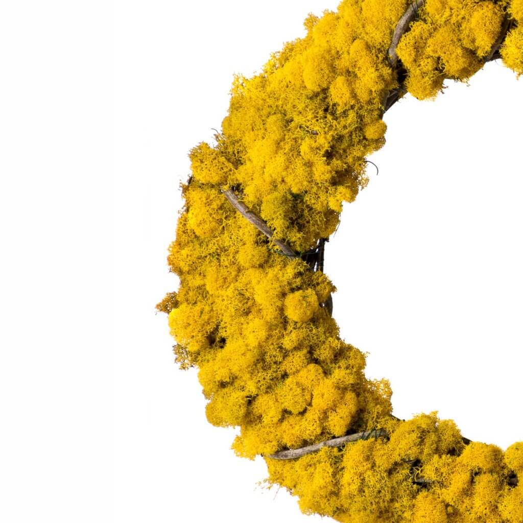 Reindeer Moss Grapevine Wreath, 18”, Sunflower #3