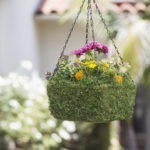 29211_Square Woven Basket_Medium