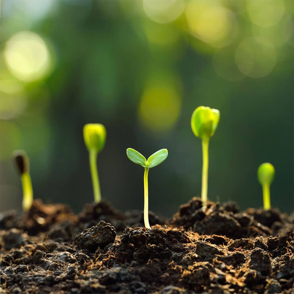 Agromin Organic Potting Mix, 4Qt. #3