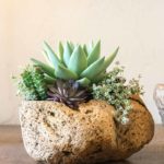 Volcanic Stone Planter