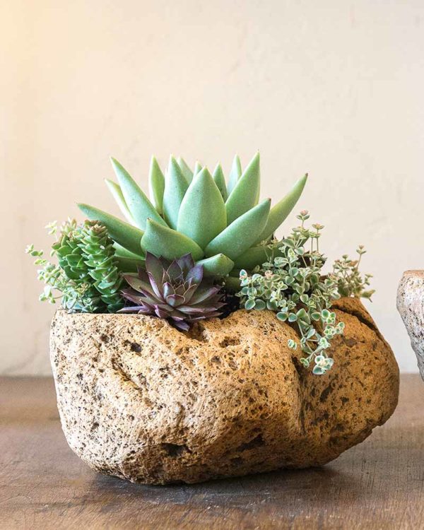 Volcanic Stone Planter