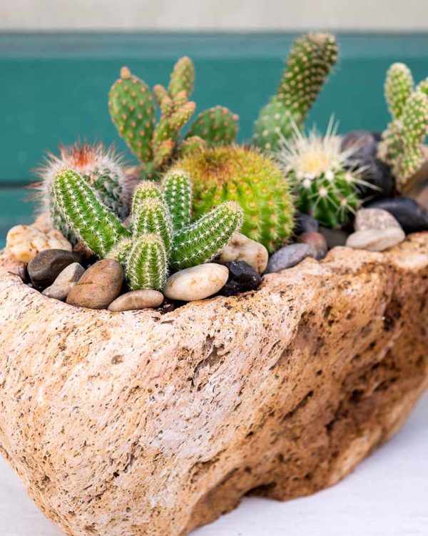 Volcanic Stone Planter