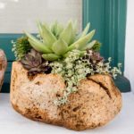 Volcanic Stone Planter