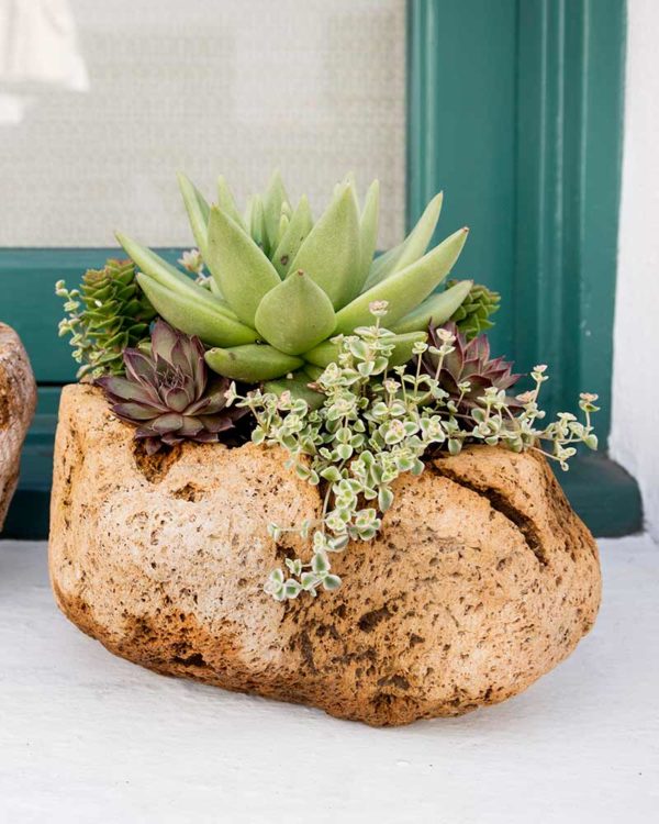 Volcanic Stone Planter