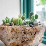 Volcanic Stone Planter