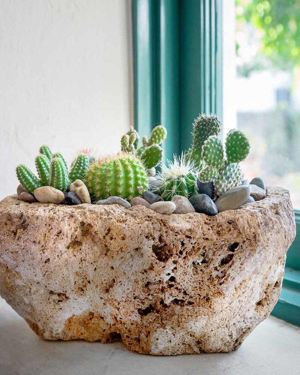 Volcanic Stone Planter