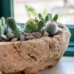 Volcanic Stone Planter