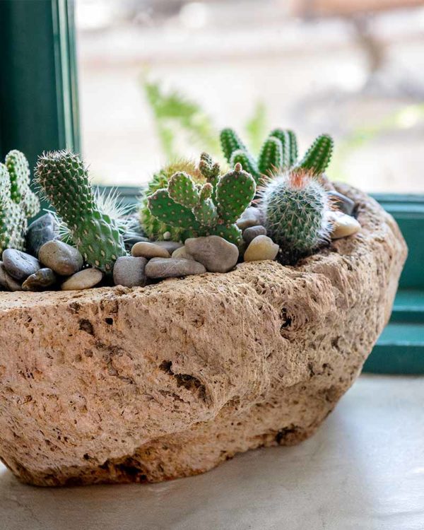 Volcanic Stone Planter