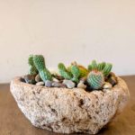 Volcanic Stone Planter