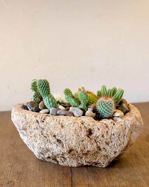 Volcanic Stone Planter