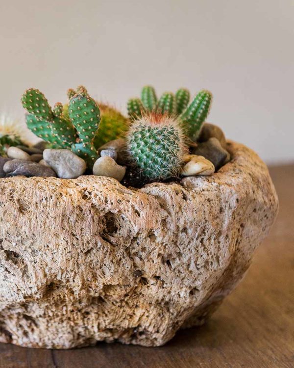 Volcanic Stone Planter