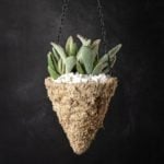 MossWeave_Cone_Mini-Hanging-Basket_Blond_6in_29265_Lifestyle_01