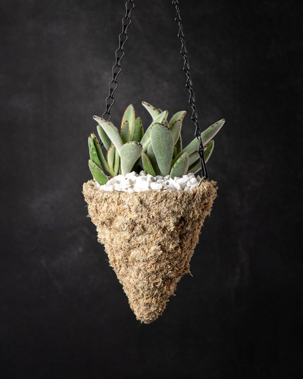 MossWeave Mini Hanging Basket Blond Cone