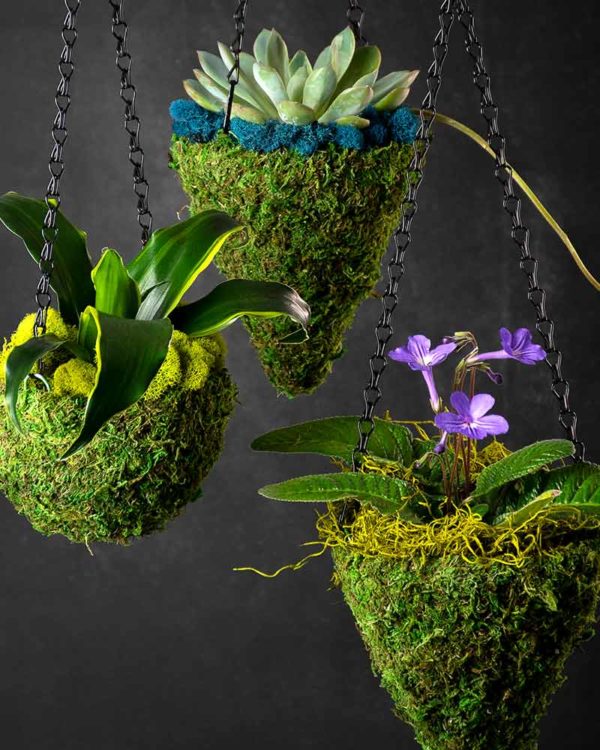 MossWeave Mini Hanging Baskets Set Fresh Green