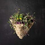 MossWeave_Pyramid_Mini-Hanging-Basket_Blond_6in_29267_Showcase_01