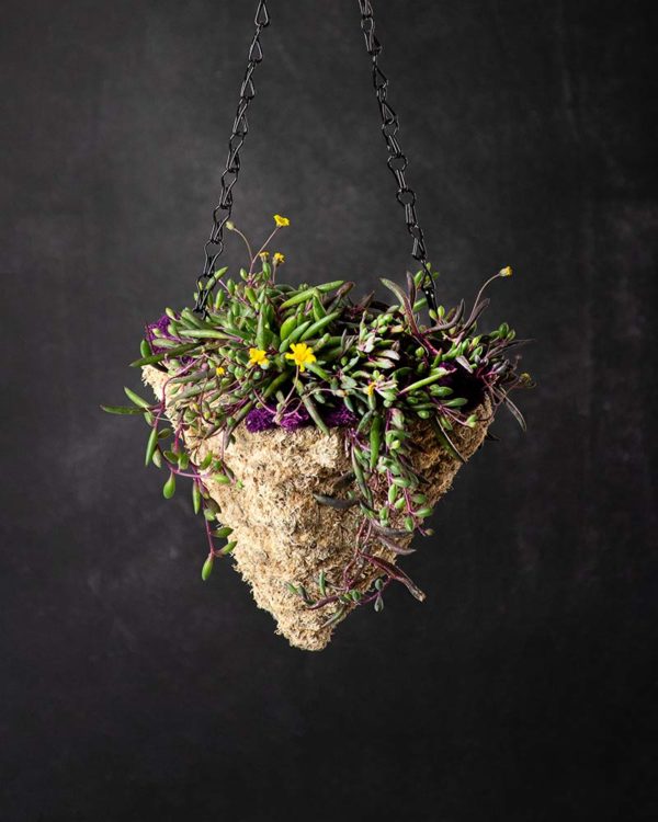 MossWeave Mini Hanging Basket Blond Pyramid