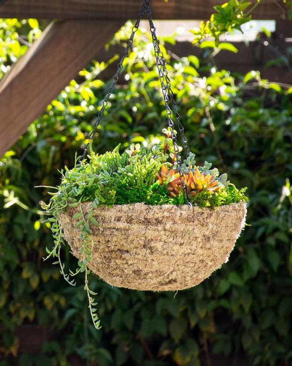 MossWeave Round Hanging Basket Blond