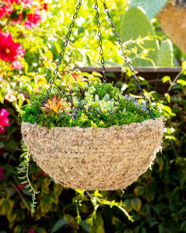 MossWeave Round Hanging Basket Blond